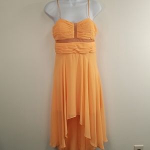 Haley Logan by Adrianna Papell size 9/10 high low dress.